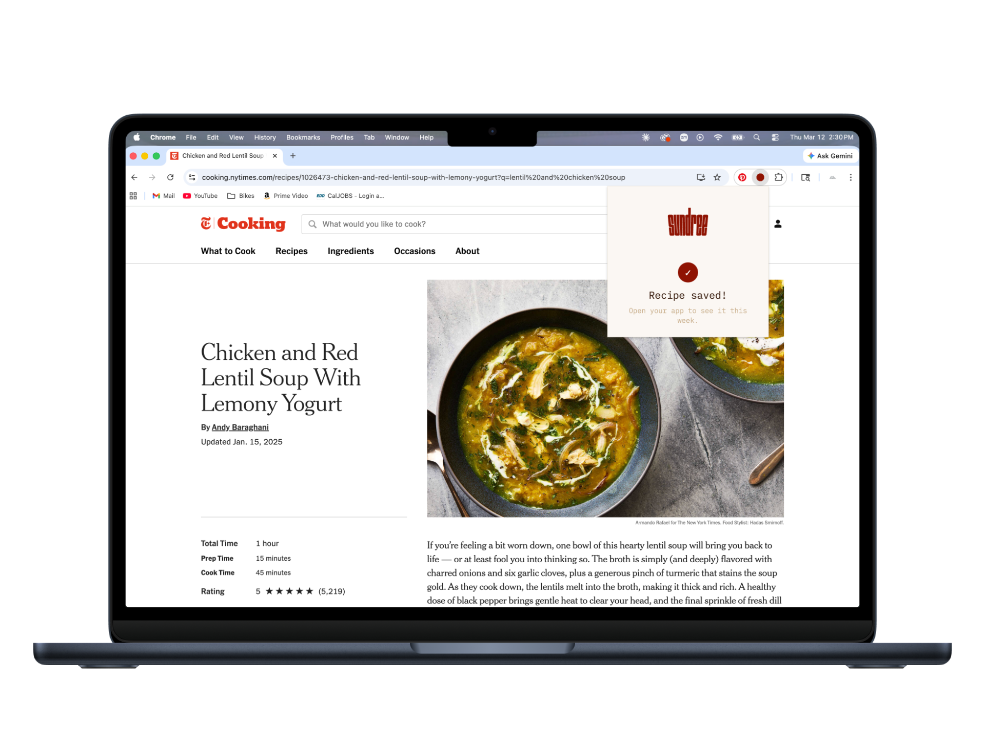 Sundree Chrome browser extension